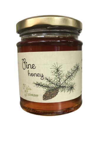 Dennen480 removebg preview